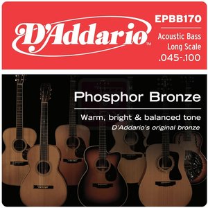 D'ADDARIO EPBB170 PHOSPHOR BRONZE 5-STRING ACOUSTIC BASS 45-100