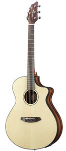 BRPSC24CE   BREEDLOVE Pursuit Series