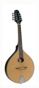  RMA-100-NT  Richwood mandola