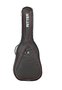 Ritter-RGP2-Classical-3-4-Guitar-BRD