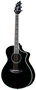 BREEDLOVE-Stage-Series-Black-Magic-Concert