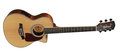 Reis-gitaar-Richwood-RT-19-CE