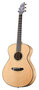 BRORC26E-BREEDLOVE-Oregon-Series