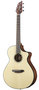 BRPSC24CE---BREEDLOVE-Pursuit-Series