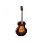 The-Loar-Archtop-Acoustic-Guitar-VS-LH-309-VS
