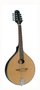 RMA-100-NT--Richwood-mandola