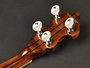 RMB-1805 Richwood Master Series bluegrass banjo_