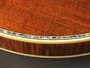 RMB-1805 Richwood Master Series bluegrass banjo_