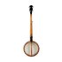 Gold tone Clawhammer 5-string openback banjo 11" with case_
