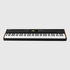 Numa X Piano GT Studiologic's flagship 88 keys digital piano_