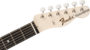 Fender Gold Foil Telecaster®, Ebony Fingerboard, White Blonde_