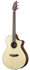 BRPSC24CE   BREEDLOVE Pursuit Series_