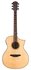BAT4CE Bromo Tahoma Series Hillside auditorium guitar with solid spruce top_
