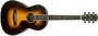 Fender Paramount PM-2 Deluxe Parlour Vintage Sunburst + koffer en humidifier_